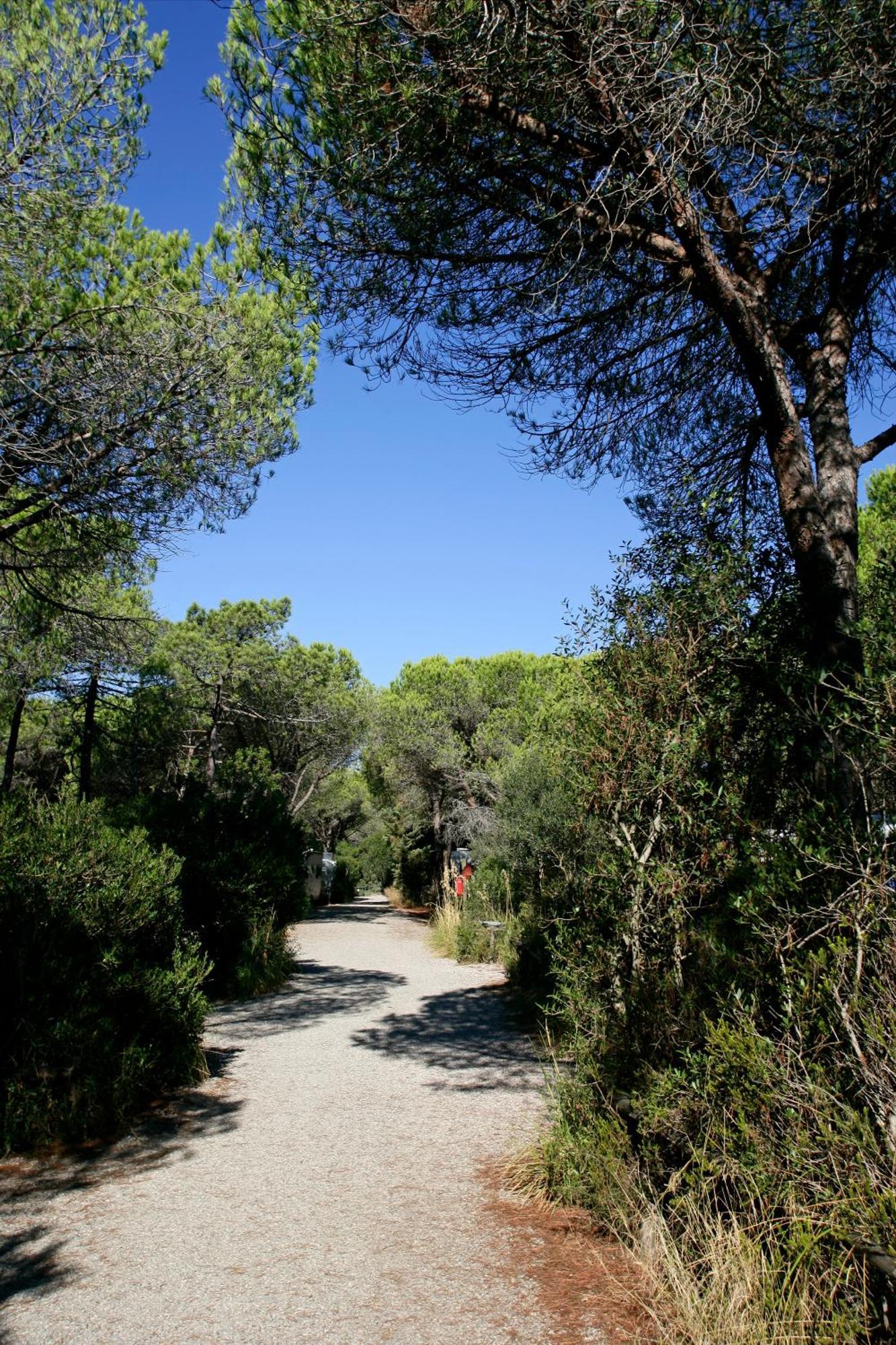 Camping Maremma Sans Souci Castiglione della Pescaia Bagian luar foto