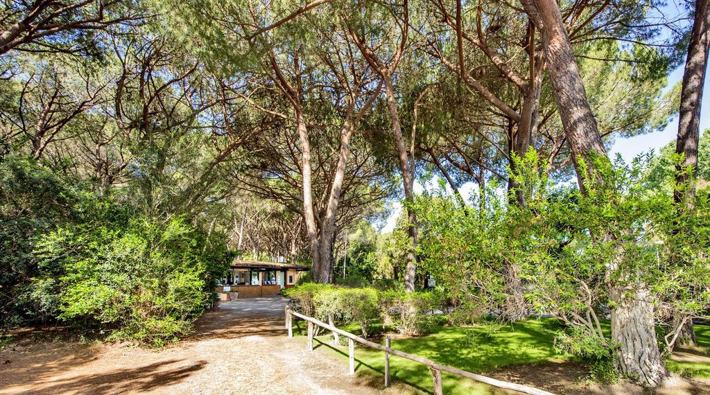 Camping Maremma Sans Souci Hotel Castiglione della Pescaia Bagian luar foto